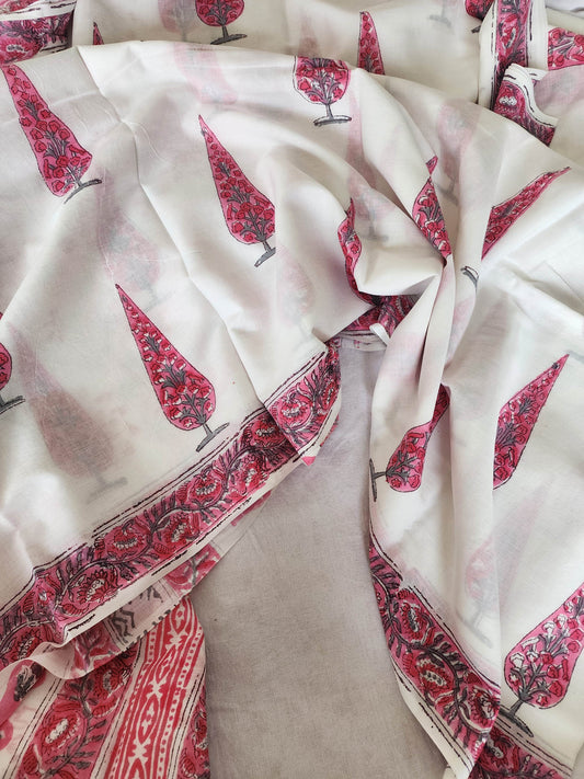 White handblock cotton saree